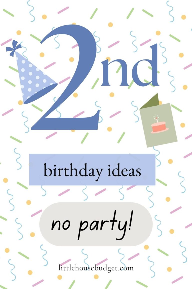 Simple & Sweet 2 Year Old Birthday Ideas: No Party Edition - Little ...